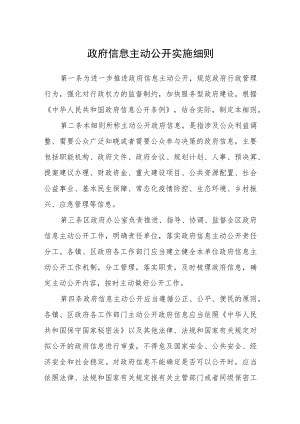 政府信息主动公开实施细则.docx