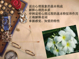《医学心理学》感知PPT课件.ppt