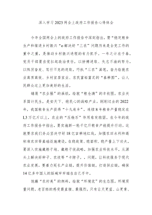 深入学习2023两会上政府工作报告心得体会3篇.docx