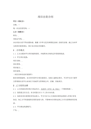 项目出资合同.docx