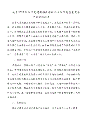 关于2023年医院党建引领在推动公立医院高质量发展中的实践报告.docx