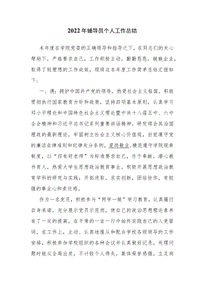 2022年辅导员个人工作总结.docx