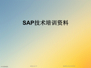 SAP技术培训资料.ppt