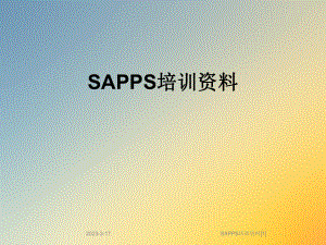 SAPPS培训资料[1].ppt