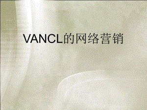 VANCL的网络营销.ppt