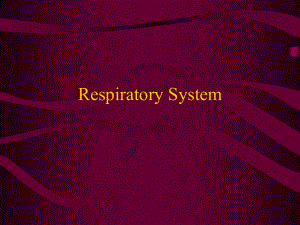 respiratoryterminology医学英语.ppt