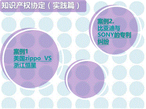 TRIPS知识产权案例PPT.ppt