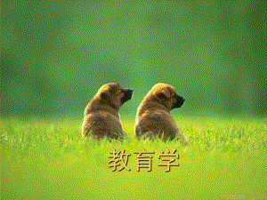 教育学绪论.ppt