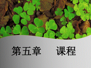 教育学课件课程.ppt