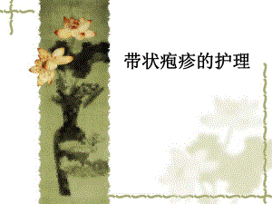 带状疱疹护理查房.ppt