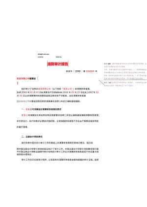 审计报告正文模板.docx