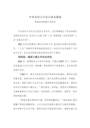 xx农村工作会议亮点解读.docx