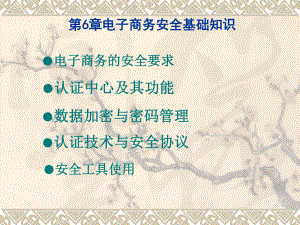 《电子商务基础》第六章电子教案.ppt