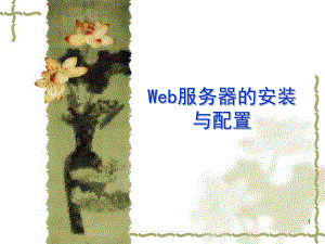WEB服务器的安装与配置.ppt