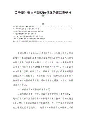 关于审计查出问题整改情况的跟踪调研报告.docx
