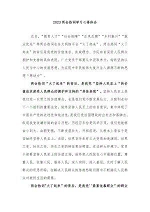 2023两会热词学习心得体会.docx