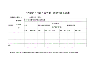 “大棚房”问题“回头看”违规问题汇总表.docx