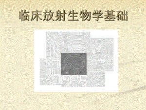 临床放射生物学基础.ppt