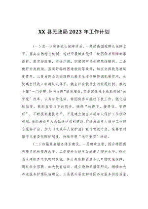XX县民政局2023年工作计划.docx
