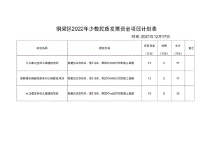 铜梁区2022年少数民族发展资金项目计划表时间2021年12月17日.docx
