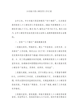 乡村振兴局小额信贷工作汇报.docx