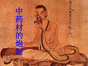 中药的炮制PPT医学课件.ppt