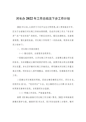 河长办2022年工作总结及下步工作计划.docx