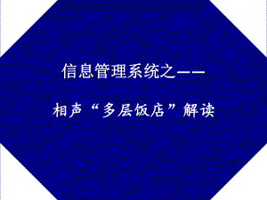 信息管理系统案例分析.ppt