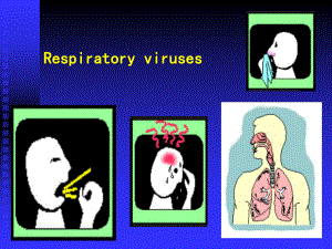医学微生物学课件.ppt