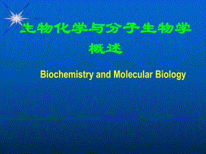 分子生物学概论.ppt