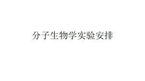 分子生物学实验.ppt