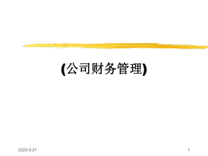 公司财务管理讲义.ppt