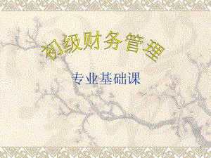 初级财务管理总论.ppt
