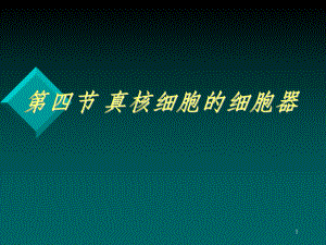 医学生物学ppt课件.ppt