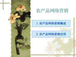 农产品网络营销.ppt