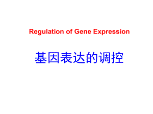 分子生物学PPT.ppt