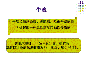 反刍动物传染病.ppt
