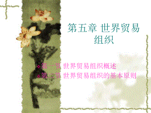 国际贸易组织.ppt