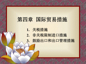国际贸易措施..ppt