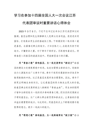 （3篇）国企机关党员干部学习领会2023年在参加十四届全国人大一次会议江苏代表团审议时重要讲话精神心得感想.docx