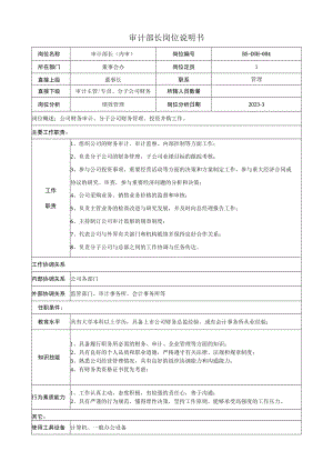 审计部长岗位说明书.docx
