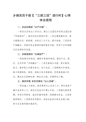 乡镇党员干部【“三抓三促”进行时】心得体会感悟.docx