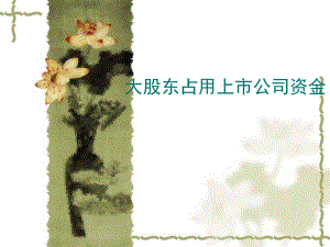 大股东占用上市公司资金点评.ppt