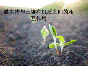 土壤微生物与有机质.ppt