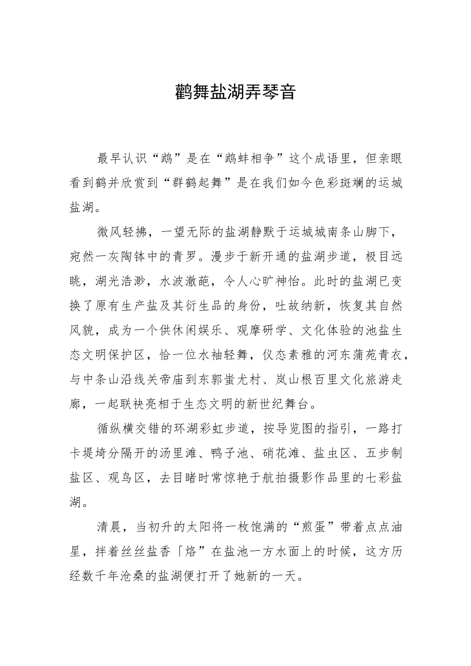 鹬舞盐湖弄琴音.docx_第1页