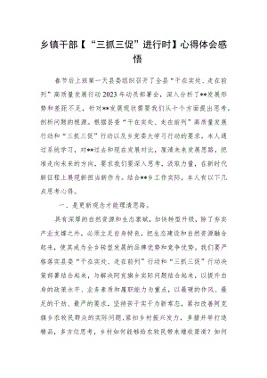 乡镇干部【“三抓三促”进行时】心得体会感悟.docx