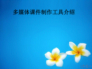 多媒体课件制作工具.ppt
