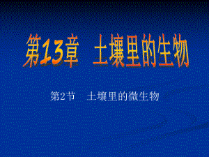 土壤中的微生物.ppt