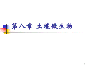 土壤微生物(精).ppt