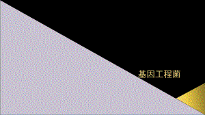 微生物基因工程菌.ppt